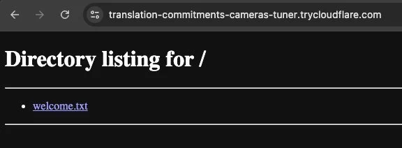 Browser showing a directory listing exposing multiple sensitive files