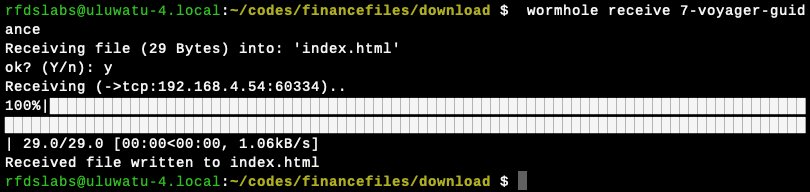 Claude Code session prompting for file and offering to install wormhole