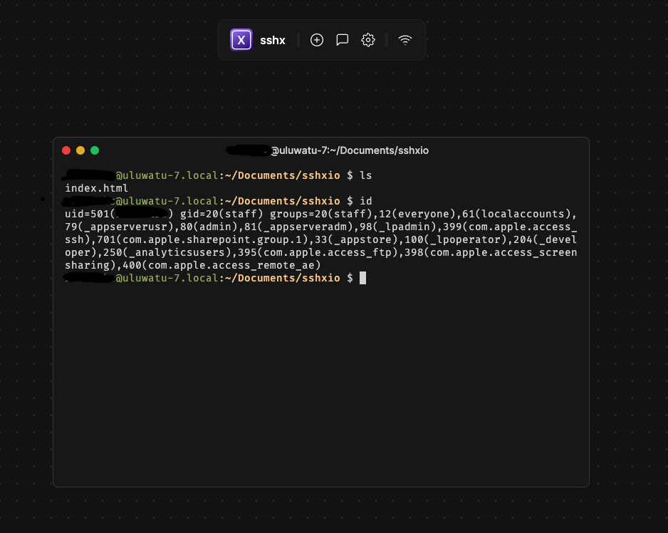 sshx browser terminal showing live shell access to the user's laptop with ls and id command output