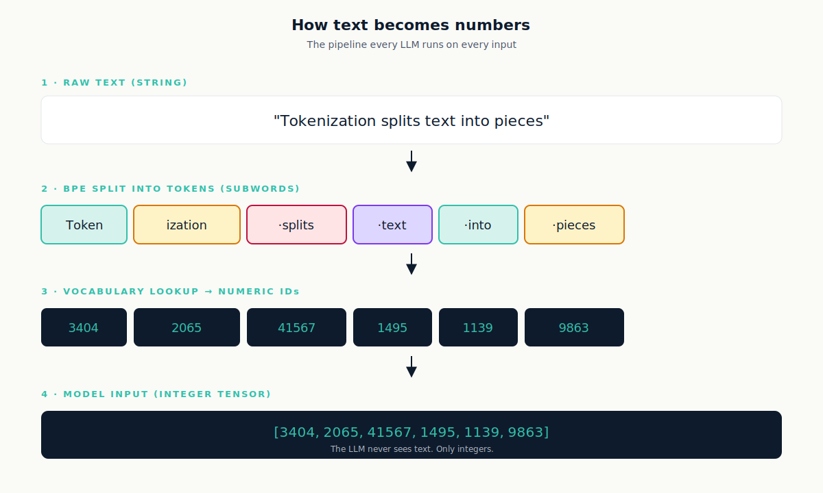 Four-stage pipeline diagram: raw text string at the top, then BPE split into subword tokens, then vocabulary lookup into numeric IDs 3404 2065 41567 1495 1139 9863, then model input as an integer tensor